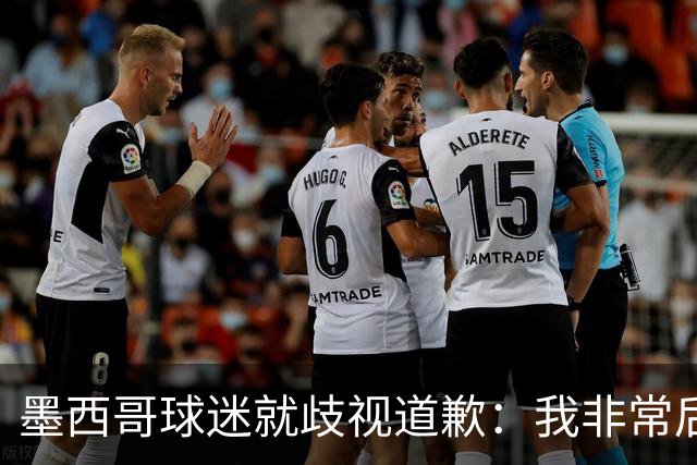 墨西哥球迷就歧视道歉：我非常后悔，已辞去工程师协会职务